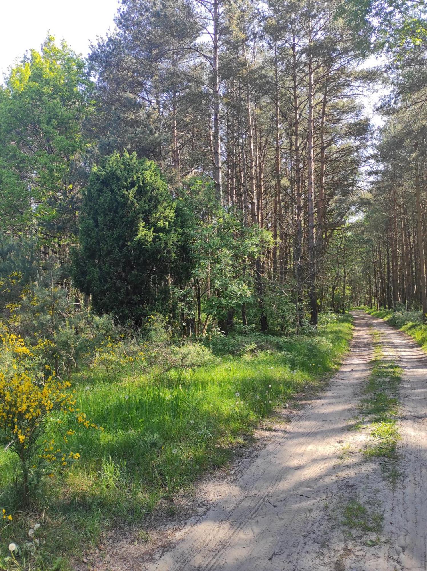 Domki Na Jastrzebiej Mieroszyno Exterior photo